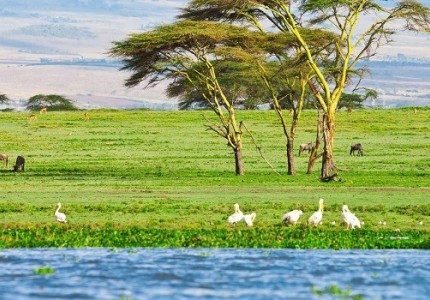 Hồ Naivasha - Kenya điểm đến không thể bỏ qua khi đến với Châu Phi